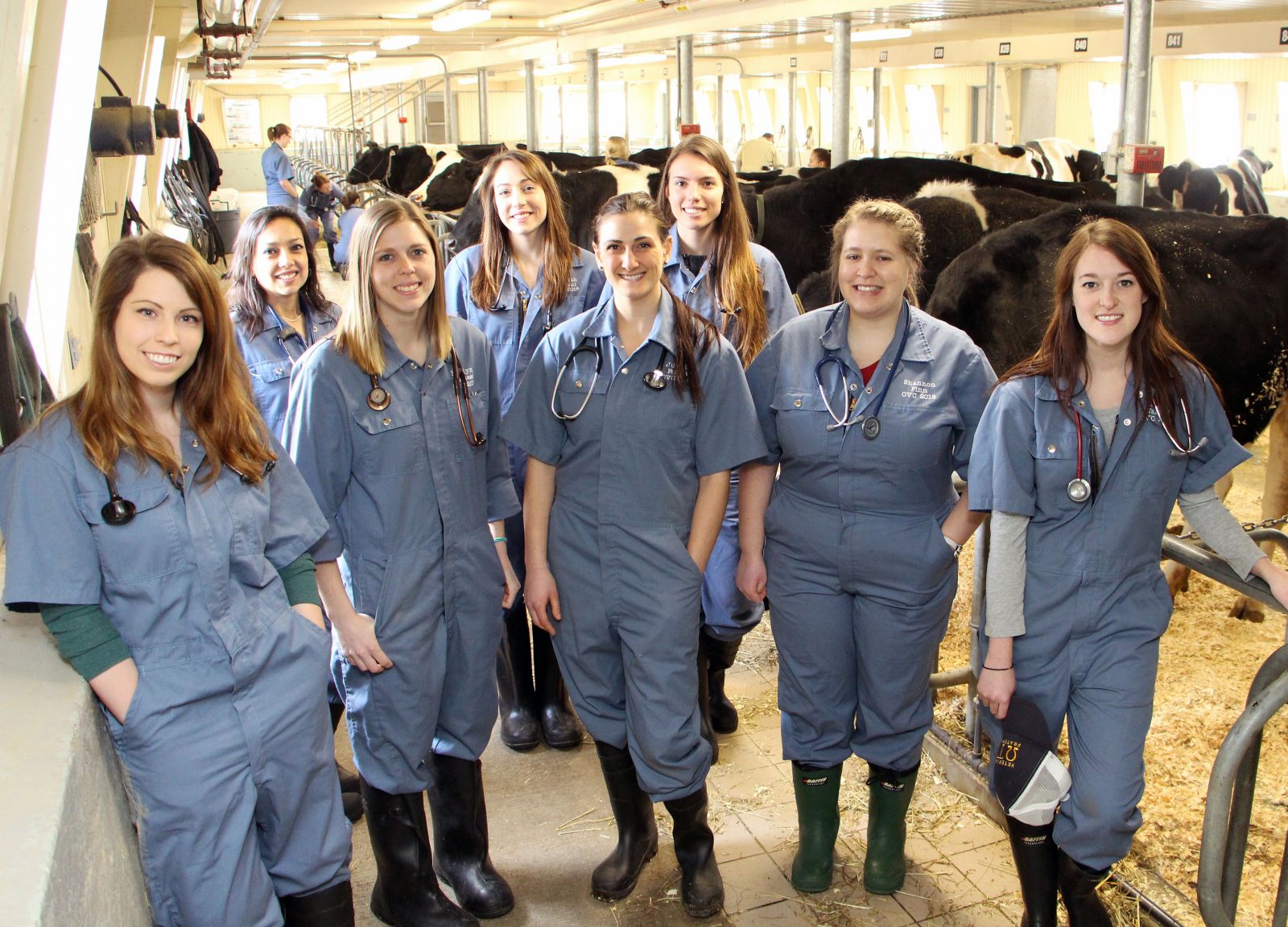 Follow our DVM students on their Externship journey this summer Ontario Veterinary College